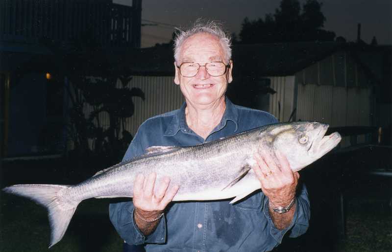 Roy Killick's 4.8 kg gilled and gutted tailor, length 91cm, girth 45cm, captured on a home made popper at Kalbarri, February 2004.