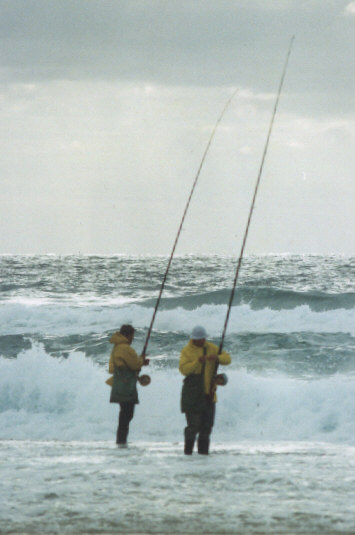 Members fishing with Alvey reels at the Bluff Creek reef.